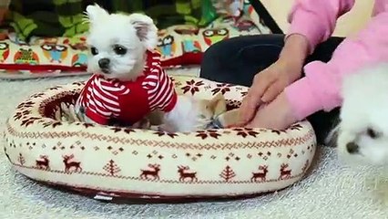 거창출장아로마≑거창출장안마 -후불100%ョØ1ØE2659E1768｛카톡KP93｝ 거창전지역출장안마 거창오피걸 거창출장마사지 거창안마 거창출장마사지 거창콜걸샵ぷへべ