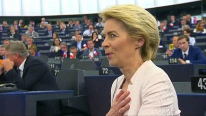 I liberali a von der Leyen: "Non dia il parlamento per scontato"