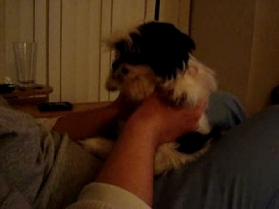 Chloe Dances