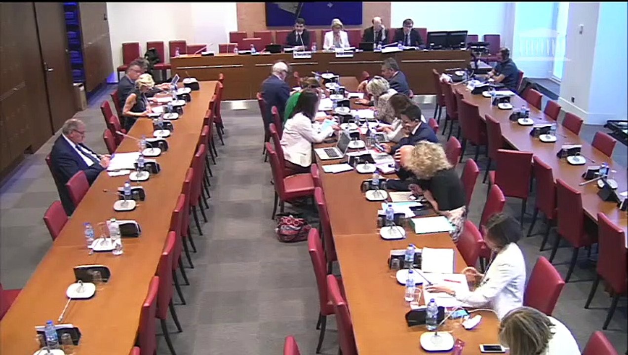 Commission des affaires sociales : M. Thierry Breton, directeur général de l'INCa - Mardi 16 juillet 2019