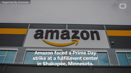 Progressive Congress Members Sign Letter For Amazon Investigation