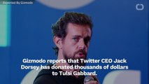 Twitter CEO Jack Dorsey Donates To Tulsi Gabbard