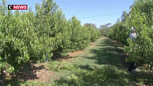 Une réunion à Bercy concernant l'indemnisation des agriculteurs victimes de catastrophes naturelles