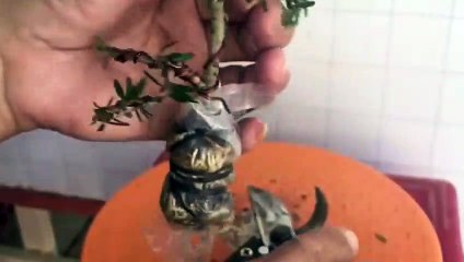 군산출장아로마≑군산출장안마 -후불100%ョØ7ØA7575A0062｛카톡DK654｝ 군산전지역출장안마 군산오피걸 군산출장마사지 군산안마 군산출장마사지 군산콜걸샵ЕЁЖ