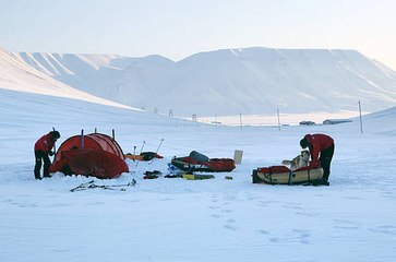 Un record absolu de chaleur enregistré au Pole Nord