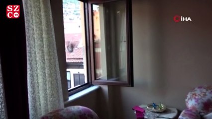 Kuşlar oturma odasının avizesine yuva yaptı