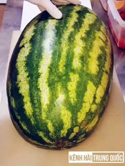 1001 clips Funny and muddy moments P20