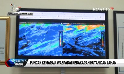 Puncak Kemarau, Waspadai Kebakaran Hutan dan Lahan di Kalimantan Barat