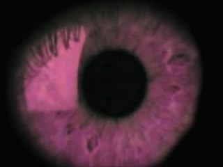 Zeitgeist - Federal Reserve - Part 5 of 5