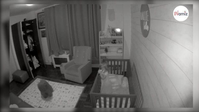 Ils voient leur chien entrer dans la chambre de leur bébé : ce que fait le toutou les marque pour toujours