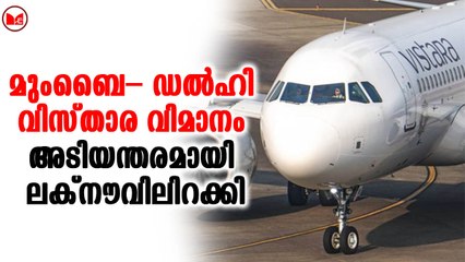 മുംബൈ– ഡൽഹി വിസ്താര വിമാനം അടിയന്തരമായി ലക്നൗവിലിറക്കി