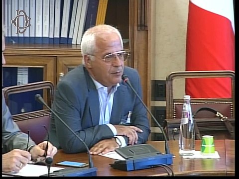 Roma - Audizione su personale delle rappresentanze diplomatiche (17.07.19)