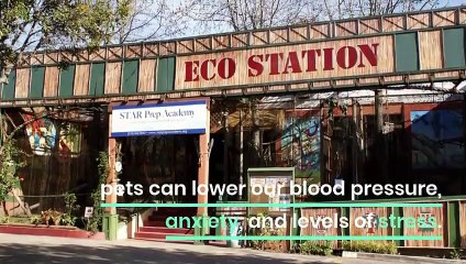 Every Animal Lover Must Visit These Four Best Places in Los Angeles