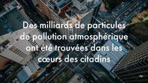 Des milliards de particules de pollution atmosphérique ont été trouvées dans les cœurs des citadins