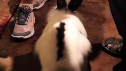 중랑출장아로마≑중랑출장안마 -후불100%ョØ1ØE6706E9275｛카톡FX24｝ 중랑전지역출장안마 중랑오피걸 중랑출장마사지 중랑안마 중랑출장마사지 중랑콜걸샵опр