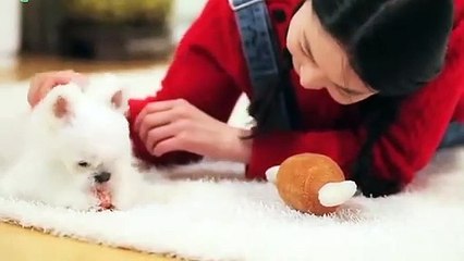 동두천출장아로마≑동두천출장안마 -후불100%ョØ7ØS7301S9649｛카톡LA25｝ 동두천전지역출장안마 동두천오피걸 동두천출장마사지 동두천안마 동두천출장마사지 동두천콜걸샵опр