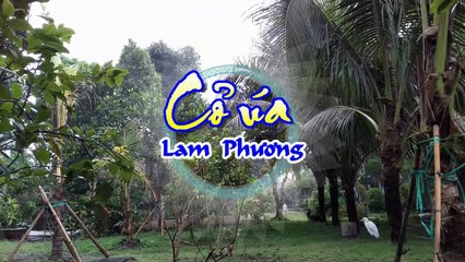 [Karaoke] CỎ ÚA - Lam Phương (Giọng Nam)