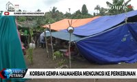 Warga Korban Gempa Halmahera Tunggu Bantuan Makanan