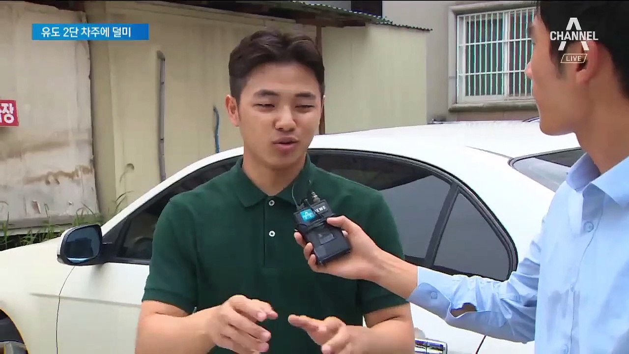 “감히 내 차를 털어?”…‘유도 2단’ 차량 주인에 딱 걸린 도둑