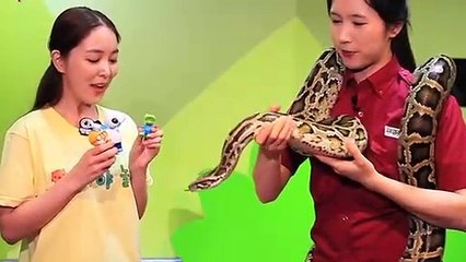 논산출장안마 -후불100%ョØ1ØE7362E3210｛카톡BB5858｝ 논산전지역출장안마 논산오피걸 논산출장마사지 논산안마 논산출장마사지 논산콜걸샵⊙◈