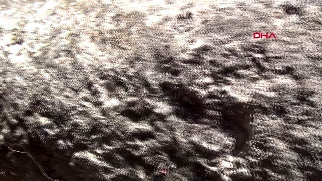 KAHRAMANMARAŞ MAHALLE SAKİNLERİ EVLERİNDEKİ TARİHİ ESERLERİN ALINMASINI İSTİYOR