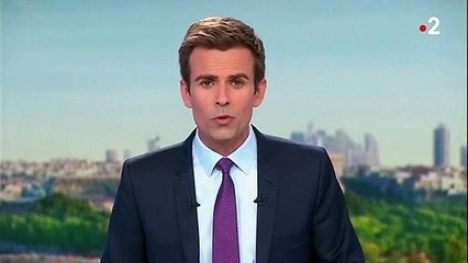 Gouvernement : la nouvelle ministre de l'Écologie Élisabeth Borne s'occupera aussi des Transports