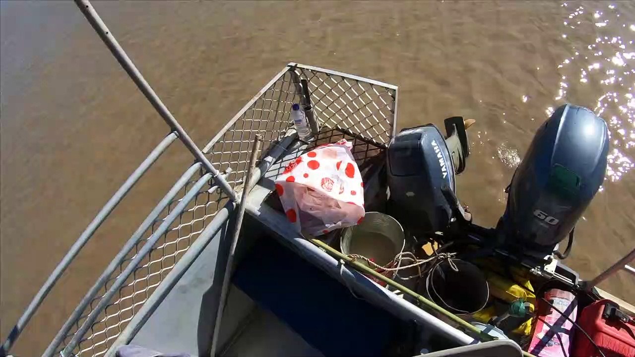 Feeding Ferocious Jumping Crocodiles