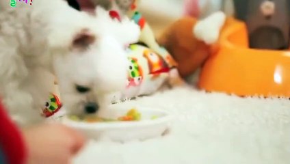 남양주출장안마 -후불100%ョØ7ØA7575A0069｛카톡CC6969｝ 남양주전지역출장안마 남양주오피걸 남양주출장마사지 남양주안마 남양주출장마사지 남양주콜걸샵♀￥≒