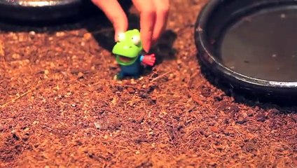 제천출장안마 -후불100%ョØ1ØA7685A6221｛카톡PP888｝ 제천전지역출장안마 제천오피걸 제천출장마사지 제천안마 제천출장마사지 제천콜걸샵※≒℃