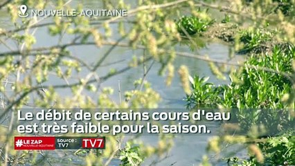 Le Zap Nouvelle-Aquitaine du 17 juillet
