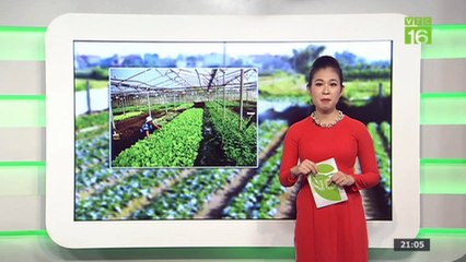 Bản tin 3 sạch – 17/07/2019