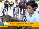 Dogs save family from Iligan floods