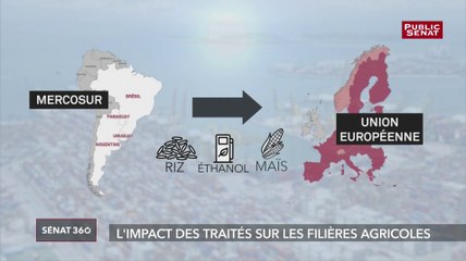 Télécharger la video: L'impact des traités sur les filières agricoles