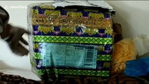 Indonesian government officials intercept package containing tiger skin at airport
