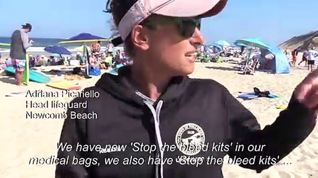 Cape Cod: a holiday destination for unwelcome v...