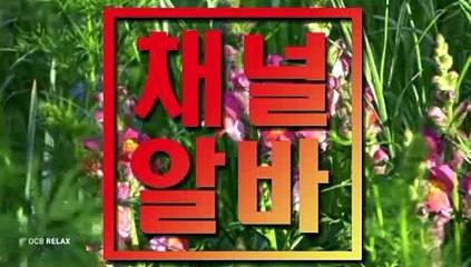 선릉40대주부아르바이트 구로30대주부알바 ▷ 채널알바닷컴 ◁ 부산란제리아르바이트 신천퍼블릭알바 목동당일지급아르바이트