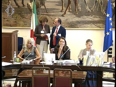 Roma - Audizioni su istituzione nuova Imu (17.07.19)