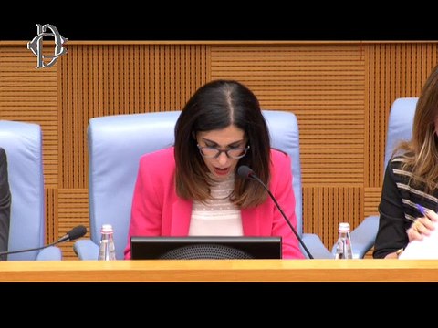 Roma - Audizione ministra Grillo (17.07.19)