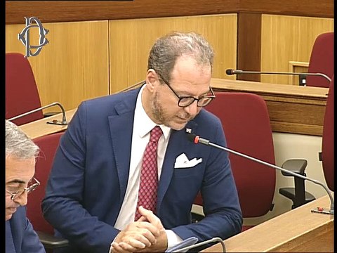 Roma - Audizione su piano industriale 2019-2021 (17.07.19)