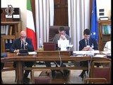 Roma - Audizioni su sicurezza sul lavoro (17.07.19)