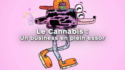 Le cannabis : un business en plein essor !