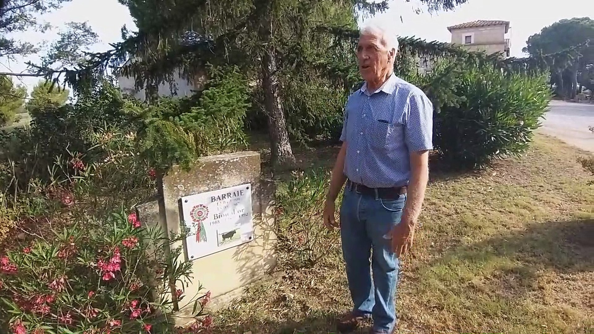 Visite à la manade Nicollin à Vauvert avec Jean-Pierre Durieu - Vidéo  Dailymotion
