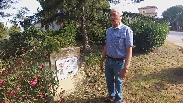 Visite à la manade Nicollin à Vauvert avec Jean-Pierre Durieu
