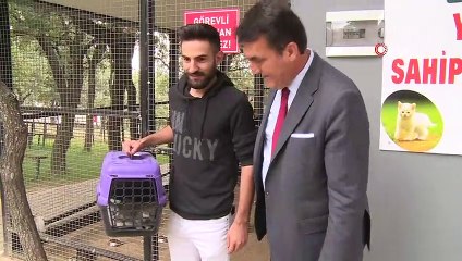 Sevimli dostlar sıcak yuvalara kavuşuyor