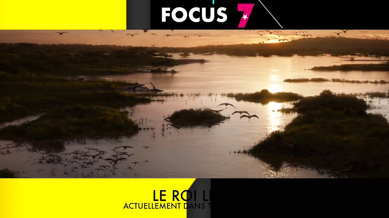 FOCUS sur LE ROI LION