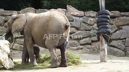 زوجة "إل تشابو" تغادر قاعة المحكمة بعد استماعها لقرار المحكمة