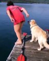 Cette chienne croit que sa maîtresse se noie et saute dans l'eau. Émouvant !