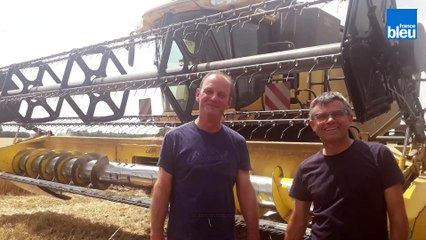 À bord d'une moissonneuse-batteuse avec des agriculteurs berrichons