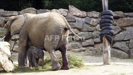زوجة "إل تشابو" تغادر قاعة المحكمة بعد استماعها لقرار المحكمة