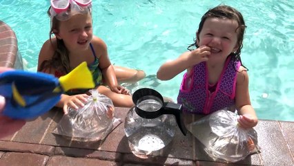 Procurando Dory - Diversão na Piscina